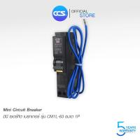 ราคา เบรกเกอร์ กันดูด Circuit Breaker Circuit Breaker รุ่น CM1L-32 USA 1P RCBO แบรนด์ CCS (6981314470)