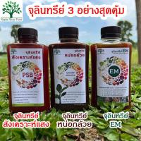 ราคา หัวเชื้อจุลินทรีย์ EM หน่อกล้วย สังเคราะห์แสง 3 อย่างสุดคุ้ม (200) (19738821053)