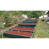 ราคา ถุงปลูกกะบะแสนดี ขนาด 60x200x30 ซ.ม. จำนวน 10ใบ (ไม่มีโครงสร้าง) (4935661562)