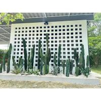 ราคา กระบองเพชรยักษ์ ขนาด 100 cm. (47706326812)
