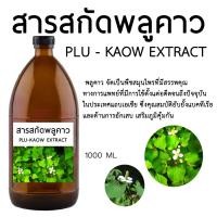 ราคา สารสกัดพลูคาว Plukaow Extract 1000 ML. (23349366421)