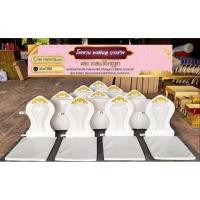 ราคา อาสนะพนักพิงพระลายทองน้อย (47253783466)