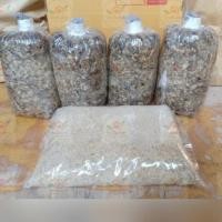 ราคา เชื้อเห็ดฟาง 4ก้อน + อาหารเสริม 1 ถุง แถมวิธีเพาะ (4332192040)