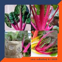 ราคา สวิสชาร์ตสีม่วง - Magenta Sunset Swiss Chard (200209969)
