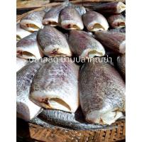 ราคา ปลาสลิดแดดเดียว แบบไม่ไข่ไซส์ใหญ่ 500 กรัม /3-4 ตัว สูตรเค็มน้อย (47602712378)