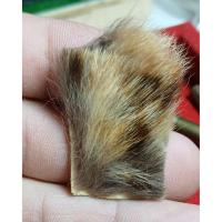 ราคา a53หนังหน้าผากเสือเก่าหลวงพ่อคง ขนาด3x2ซ.ม (28660642461)