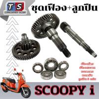 ราคา ชุดเฟืองท้าย ชุดใหญ่ Scoopy i ทุกรุ่น เฟืองเกียร์ ลูกปืนเฟือง 5ตลับ scoopy i พร้อมส่ง ivy (53950894144)