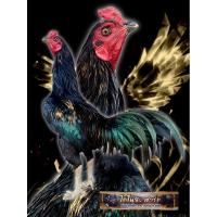 ราคา ไข่เชื้อไก่ชนสายพันธุ์พม่าม้าล่อจอมตีหักตีชัก แสนกล70m + ทองดำ30m (11350309330)