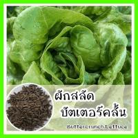 ราคา พร้อมส่ง ❗❗ รหัส 025 เมล็ดพันธุ์แท้ OP แท้ 100% ปลูกง่าย รสชาติอร่อย (ผักสลัด บัตเตอร์คลั้น - Buttercrunch Lettuce ) (4471215943)