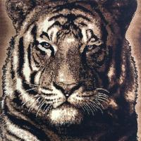 ราคา พรมปูพื้นรูปเสือ พรมลายเสือSafari (431685816)