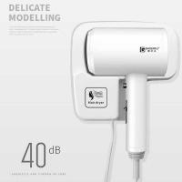 ราคา ❤ \12304; ที่มีคุณภาพสูง] ลูกหมู Bangchu กับไดร์เป่าผมขายส่ (28251934659)