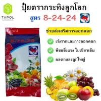 ราคา ปุ๋ยตรากระทิงลูกโลก 8-24-24 สูตรเร่งดอก เร่งผล ปุ๋ยเร่งดอก ปุ๋ยเร่งผล ส่งเสริมการออกดอก ปุ๋ยไม้ดอก บำรุงผล (43767881862)