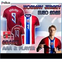 ราคา ใหม่ !! เสื้อฟุตบอลยูโรทีมชาติ นอเวย์ ชุดเหย้า เกรดแฟนบอล & เพเยอร์ ฤดูกาล 2024/2025 Norway Home Jersey 2024/2025 (25982408132)