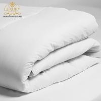 ราคา ไส้ผ้านวมแบบมาตรฐาน Luxury หมอน โรงแรม 6 ดาว (7195183949)
