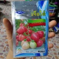 ราคา เมล็ดพันธุ์ผัก มะเขือเทศสีดา ตราเจียไต๋ จำนวน 630 เมล็ด (5332767108)