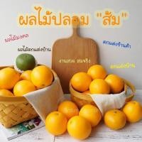 ราคา ส้มปลอม ส้ม ส้มปลอมไหว้เจ้า ผลไม้ปลอม สําหรับตกแต่งร้านค้า แต่งบ้านเสริมฮวงจุ้ย ส้มปลอมสำหรับตกแต่ง เหมือนจริงมา (12359020865)