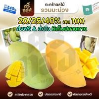 ราคา ส่งฟรี/มีไลฟ์ ตะกร้ามะม่วง มะม่วงแก้วขมิ้น มะม่วงน้ำดอกไม้ คัดเกรด เก็บสดใหม่ทุกวัน ส่งตรงจากเกษตกร ศรีทอง (41722756677)