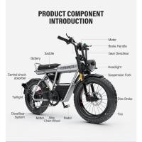 ราคา coswheel CT20S speed/55KM (24102765330)