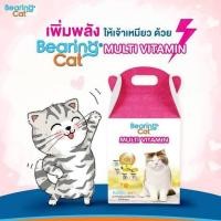 ราคา อาหารเสริมวิตามินสำหรับแมว Bearing Cat Multi vitamin บรรจุ 100 เม็ด น้ำหนักสุทธิ 56 กรัม. (18452620165)