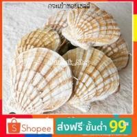 ราคา (ส่งฟรี) กระเป๋าสะพายหอยเชลล์กลาง ❗️มาพร้อมสายสะพายยางพาราทั้งเส้น Hanmdทั้งใบ+ ศิลปะในการทำ (3812658101)