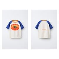 ราคา (AnChi Authentic) (Spain) zara เสื้อยืดเด็กชาย แขนแร็กแลนพิมพ์ลาย (43460623918)