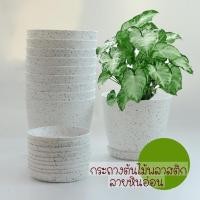 ราคา พร้อมส่ง!! กระถางต้นไม้ลายหินอ่อน กระถางต้นไม้พลาสติก ขนาด 6 นิ้ว (11082087838)