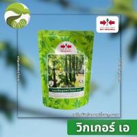 ราคา เมล็ดพันธุ์บวบเหลี่ยมลูกผสม วิกเกอร์ เอ F1 (10712797850)