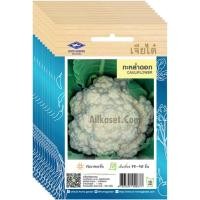 ราคา เมล็ดพันธุ์ กะหล่ำดอก เจียไต๋ ยกห่อ (10 ซอง) ราคาส่ง (29987557713)