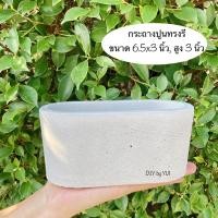 ราคา กระถางปูน กระถางแคคตัส กระถางปูนเปลือย ขนาด 6 นิ้ว (3957919369)