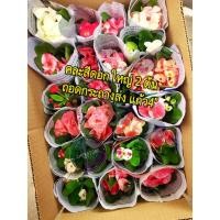 ราคา ต้นโป๊ยเซียนคละสี 2 ต้น ราคา 95.- ดอกกลางและดอกใหญ่(โป๊ยเซียนสวนรวมพันธ์ุ) (26656451273)