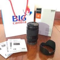 ราคา SONY LENS E18-200 MM F3.5-6.3 LE (246724)