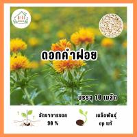 ราคา เมล็ดพันธุ์ ดอกคำฝอย บรรจุ 10 เมล็ด (24620535777)