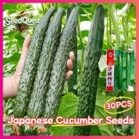 ราคา ของแท้ 100% เมล็ดพันธุ์แตงกวา เมล็ดแตงกวาญี่ปุ่น 30เมล็ด Japanese Cucumber Seed Organic Vegetable (50804835621)