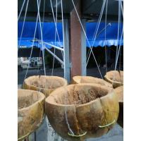 ราคา กระถางลูกมะพร้าวลูกมะพร้าปลูกต้นไม้กระถางมะพร้าวผ่าครึ่งลูกพร้อมลวดแขวนลูกมะพร้าวปลูกกล้วยไม้พร้อมที่แขวน (20187419891)