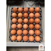 ราคา ไข่ไก่เบอร์ 1 ปลอดสาร รับประกันความสดใหม่ ส่งตรงจากฟาร์มไข่ไก่วิรัช เทวภักดิ์ (19179813575)