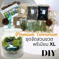 ราคา ชุดจัดสวนขวด สวนขวดแก้ว ขวดพรีเมียม XL (15599295321)