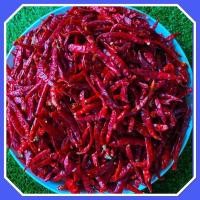 ราคา พริกแห้งจินดา 500 กรัม(ครึ่งโล) 100 บาท คัดพิเศษ สวยๆ แบบเด็ดก้าน (55300779287)