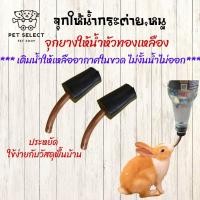 ราคา จุกป้อนน้ำกระต่าย จุกให้น้ำกระต่าย ขวดน้ำกระต่าย จุกยางทองเหลือง จุกป้อนน้ำกระต่าย จุกน้ำหนู จุกน้ำกระต่าย (8482176843)