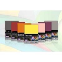 ราคา กระดาษ100ปอนด์สี A4 Renaissance แพ็ค 10แผ่น (11951064022)