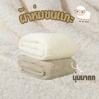 ราคา ผ้าห่มขนแกะเทียม สไตล์เกาหลี ผ้ารองถ่ายสินค้า นุ่มฟู สีเอิร์ธโทน น้ำหนักเบา (18748168507)