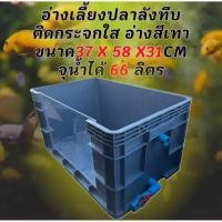 ราคา อ่างเลี้ยงปลาลังทึบสีเทาติดกระจกใส จุน้ำได้ 66 ลิตร วาล์วฟ้าขวา อ่างเลี้ยงปลาบอลลูน อ่างเลี้ยงปลา อ่างเลี้ยงปลาหางนกยูง (53707019502)