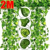ราคา 2M ต้นไม้ประดิษฐ์ ใบไม้เลื้อย / ใบไม้เลื้อยสีเขียวสำหรับแขวนผนัง / พวงมาลัยประดิษฐ์สำหรับตกแต่งสวน (49004291200)