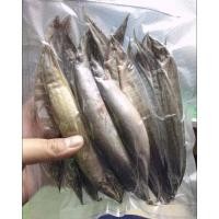 ราคา ปลาหลดแดดเดียว เเพ็คละ100กรัม (45755944909)