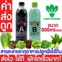 ราคา *ค่าส่งถูก* สารละลาย AB (800mlx2ขวด)ไฮโดรโปนิกส์ เอบี ธาตุอาหาร ผักไฮโดร Hydroponics ผักสลัด ผักไทย ผักจีน clearance (19977476859)