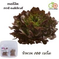 ราคา เรดโอ๊ค red oakleaf (MONDAI) Dutch 100 pills(เคลือบ) (42823281346)