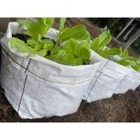 ราคา ถุงปลูกผักแสนดี ถุงเพาะกล้า (20582519018)