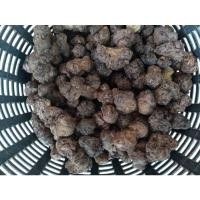 ราคา บัวแดงกินสายรับปะกันการงอก.5กิโล250 (9999482546)