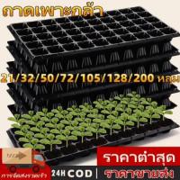 ราคา ถาดเพาะกล้า ถาดเพาะเมล็ด ถาดเพาะชำ ถาดเพาะ ถาดเพาะต้นอ่อน เพาะเมล็ด ถาดเพาะไฮโดร 32, 50, 72, 105, 128, 200หลุม (29936997679)