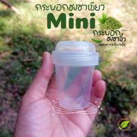 ราคา Matcha Mini Shaker แก้วเขย่า ชงชา กระบอกชงชา แก้วเชคชา ชงร้อนชงเย็นได้ สำหรับผสมผงชา ผงโกโก้ พร้อมส่งด่วน (24491171514)