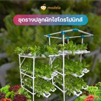 ราคา ชุดรางปลูกผักไฮโดรโปนิกส์ MHA เฉพาะรางปลูก (23123842235)
